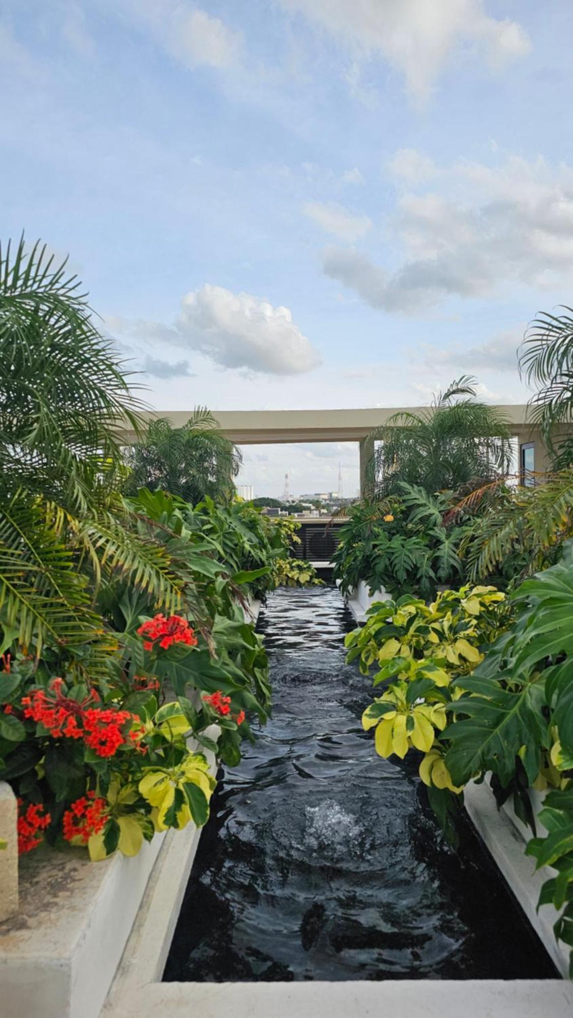 Xoza Cancun Distinctive Hotels 외부 사진